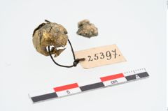 Foto von Bleiperle (NHMW-PRAE-025397)